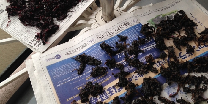 ユカリを作ります。